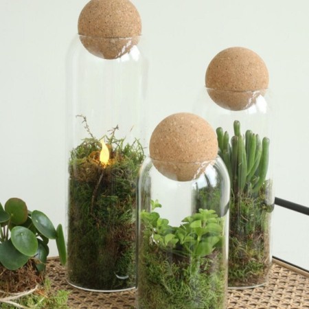 Terrarium Sienna dm8.5 h24 cm